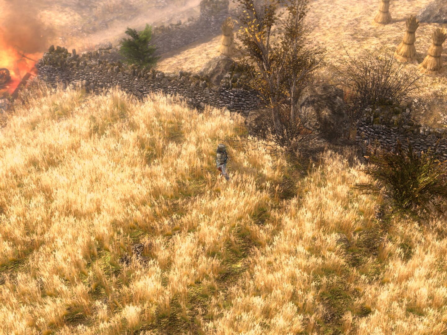 Grim Dawn screenshot 5