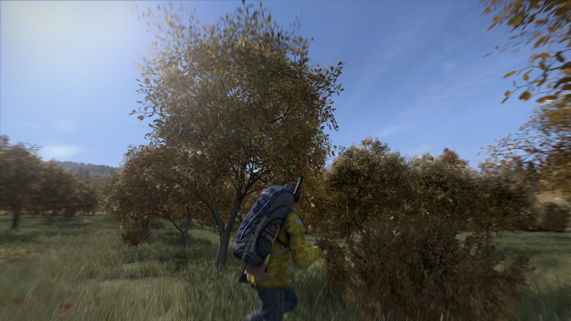 DayZ screenshot 5