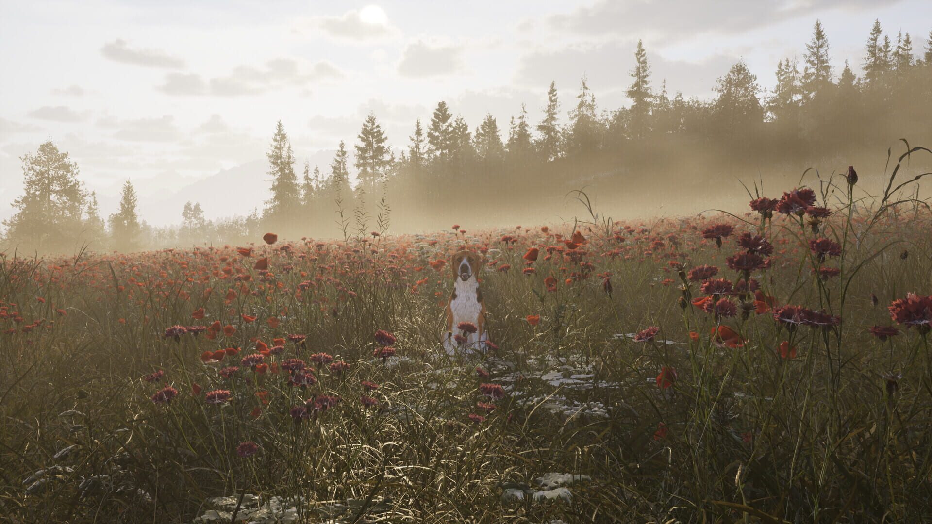 Way of the Hunter 2 screenshot 3