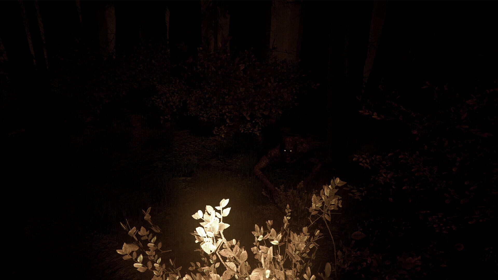 Shroud of the Woods screenshot 6