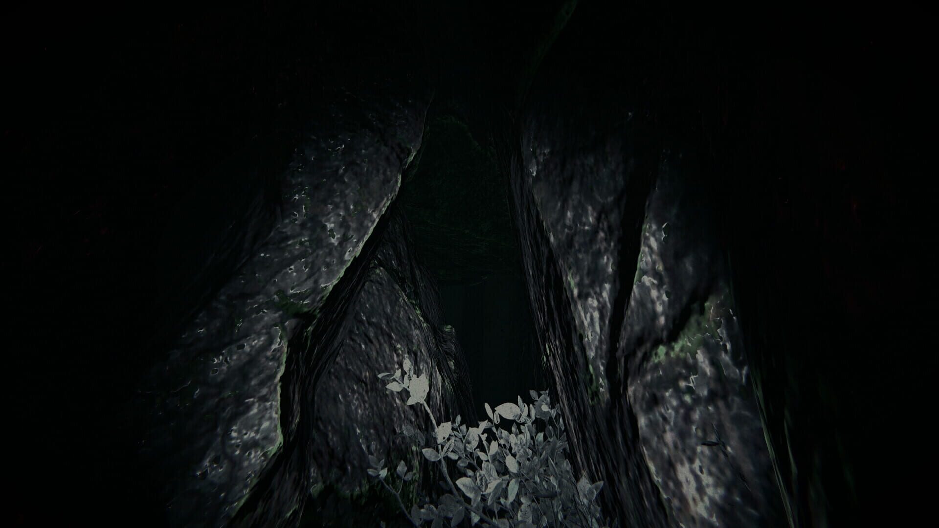 Shroud of the Woods screenshot 3