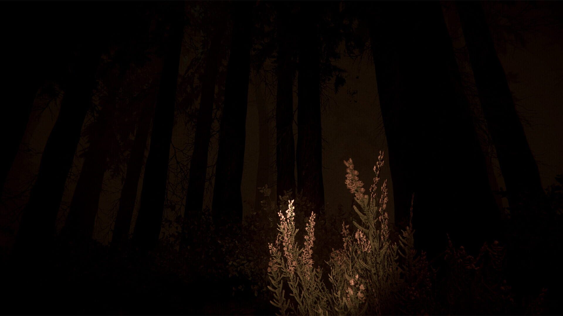 Shroud of the Woods screenshot 4