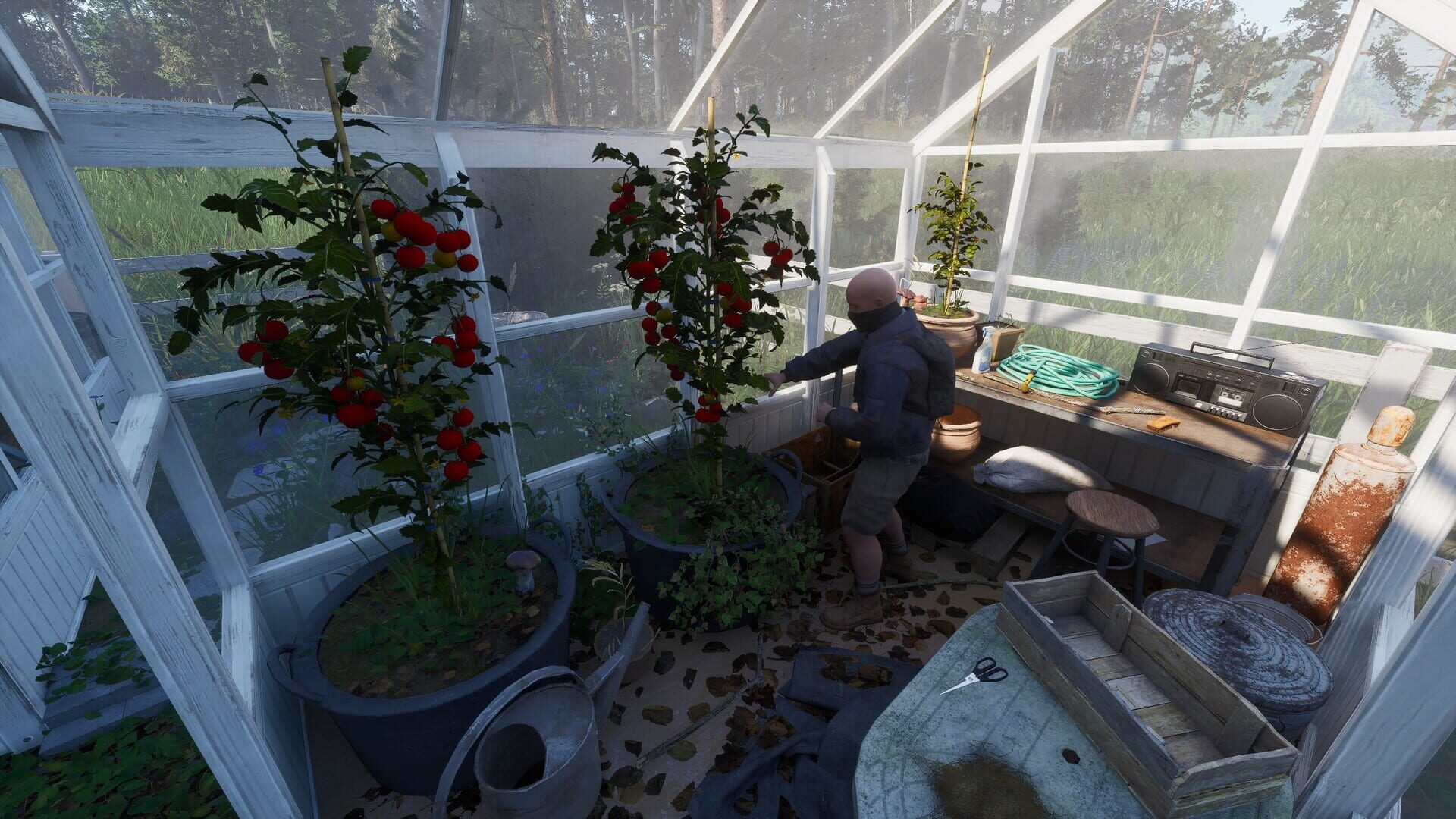 Ardem screenshot 3