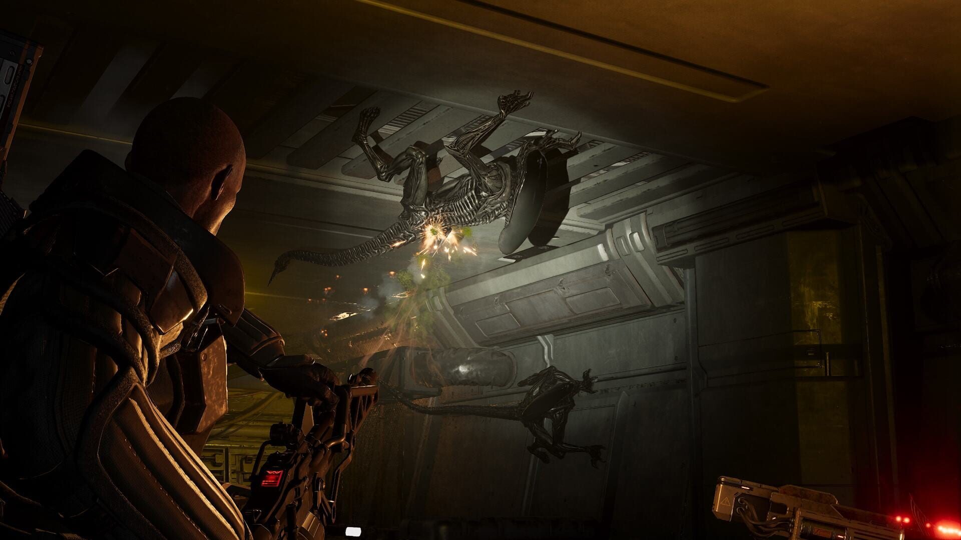 Aliens: Fireteam Elite 2 screenshot 4